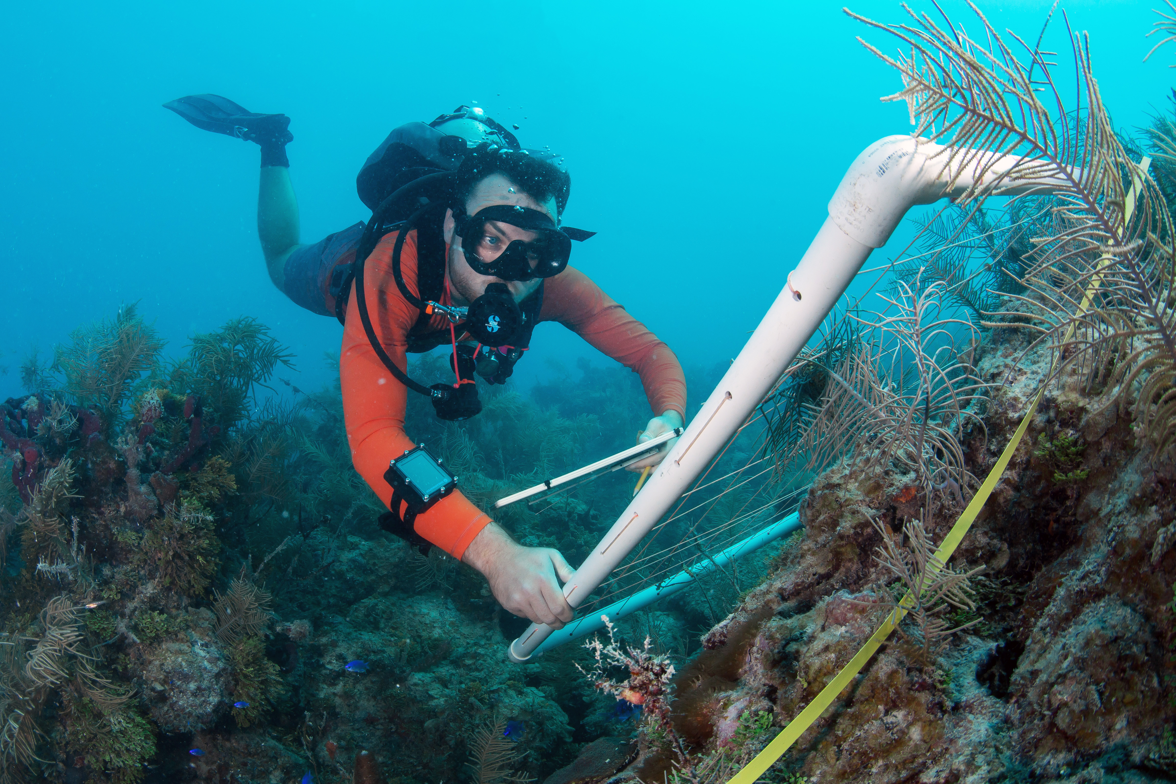 Patrick M Kiel doing science