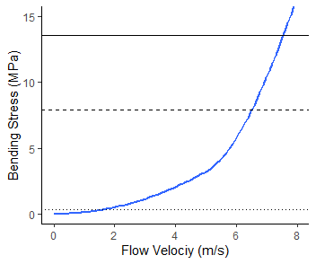 Bending stress of a coral fragment