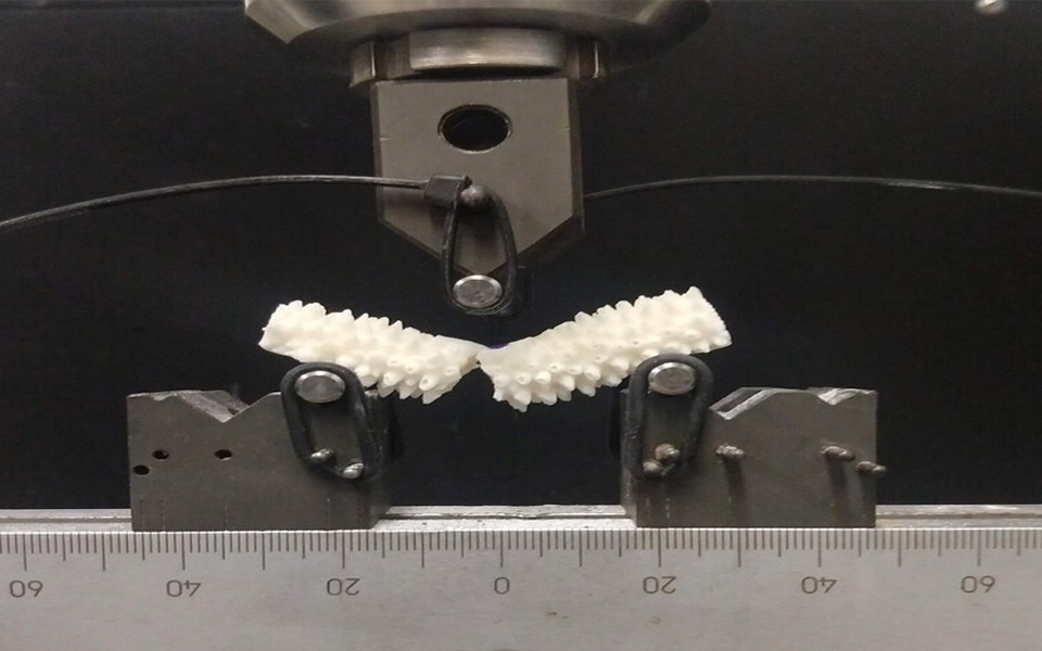 Flexural testing