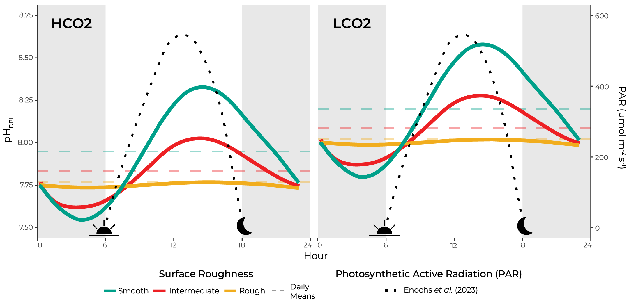 Conceptual changes of microenvironment pH due to surface roughness